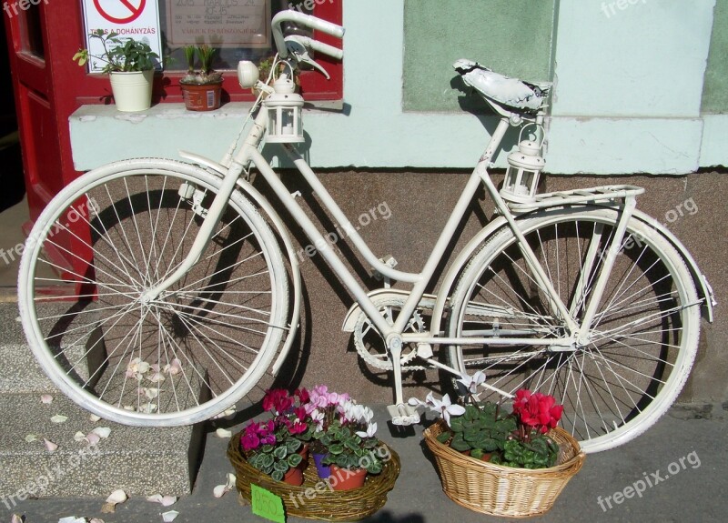 Old White Bicycle Romanticism Nostalgia Flower Basket Free Photos