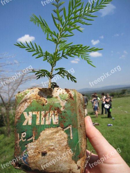 Kenya Mara Tree Planting Maasai Free Photos