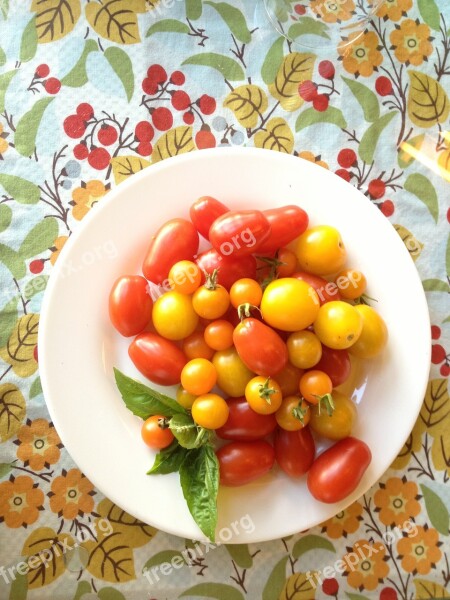 Tomatoes Cherry Tomato Fresh Cherry Food