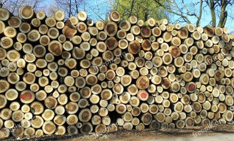 Wood Stack Trunks Free Photos