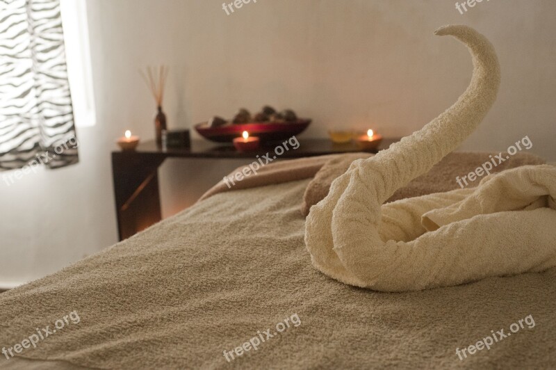 Spa Relaxation Massage Free Photos