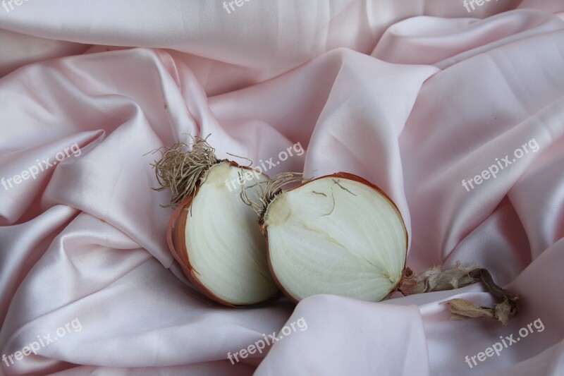 Onion Rosa Nature Free Photos