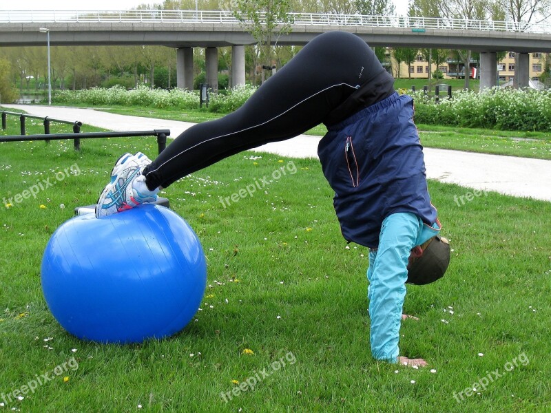 Pikepress Exercise Ball Exercisebal Free Photos