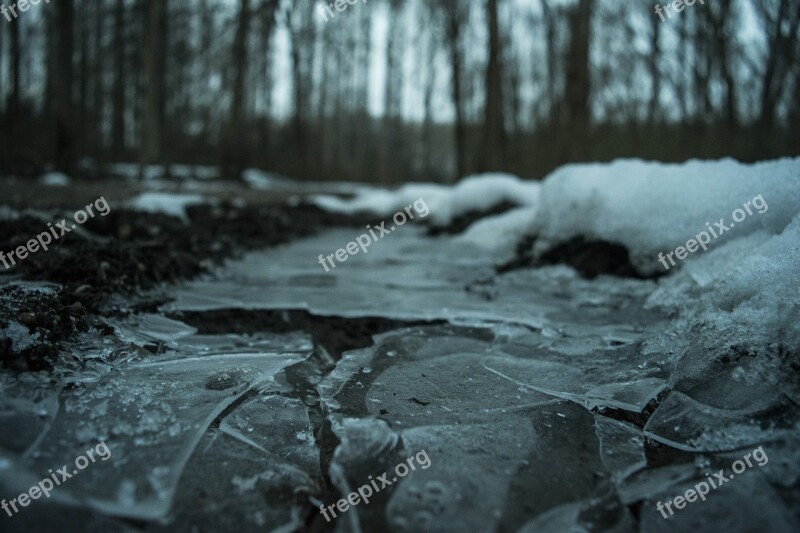 Winter Ice Puddle Frost Nature