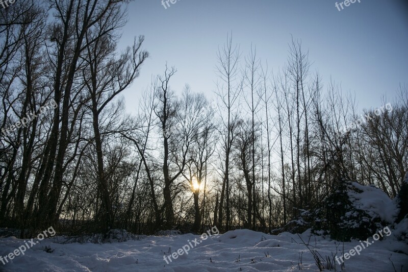 Winter Landscape Snow Nature Frost