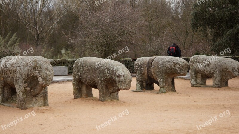 Bulls Guisando Avila Sculpture Boar