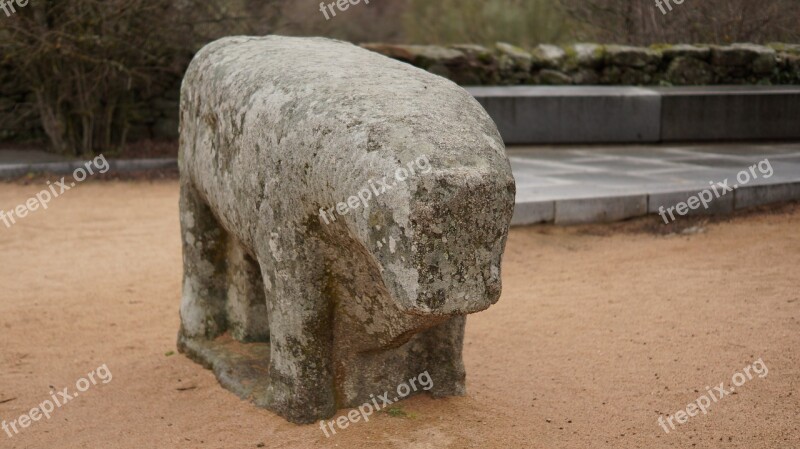 Bulls Guisando Avila Sculpture Boar