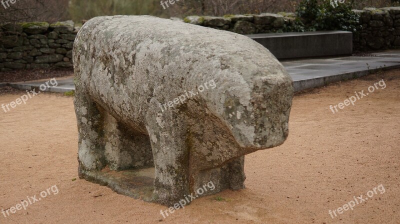 Bulls Guisando Avila Sculpture Boar