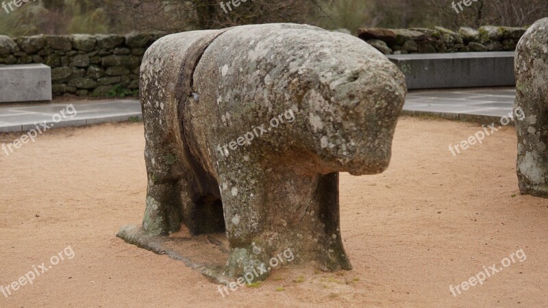 Bulls Guisando Avila Sculpture Boar