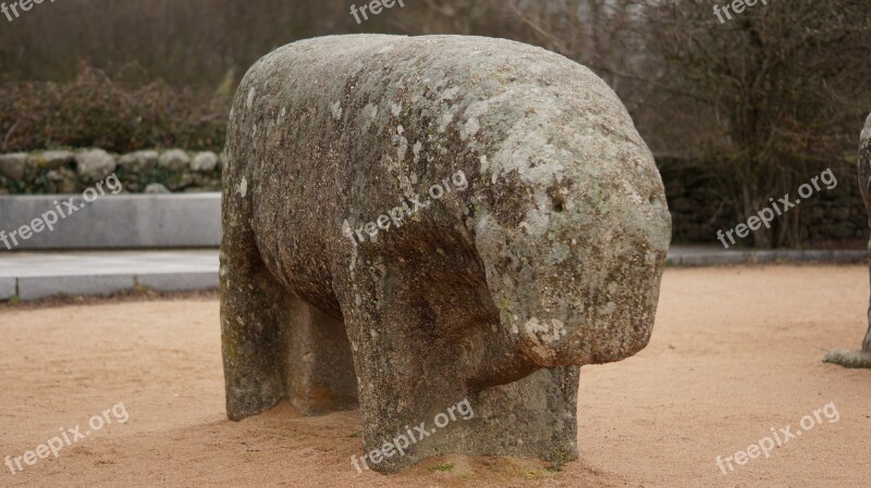 Bulls Guisando Avila Sculpture Boar