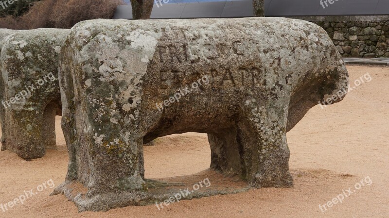 Bulls Guisando Avila Sculpture Boar