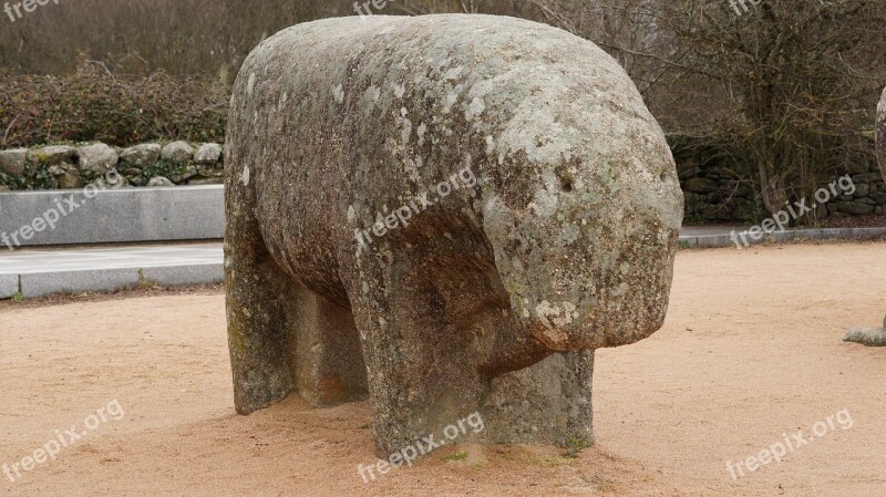 Bulls Guisando Avila Sculpture Boar