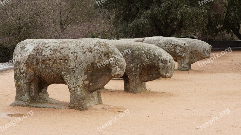 Bulls Guisando Avila Sculpture Boar