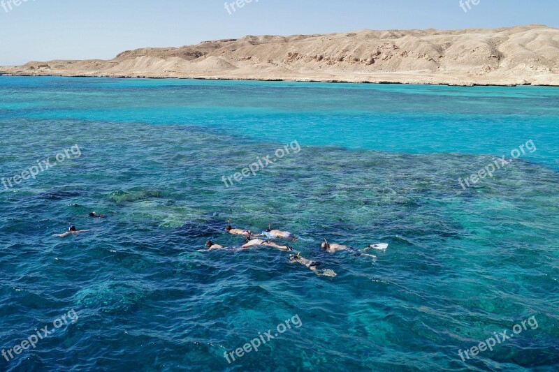 Egypt The Red Sea Sea Diving Snorkeling