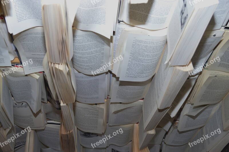 Books Ceiling Room Interior Decor