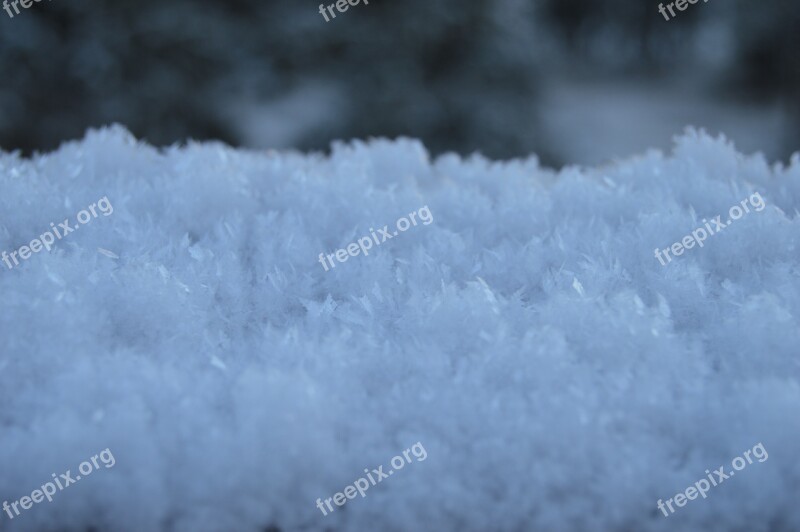 Ice Crystals Snow Frost Cold Snowflake