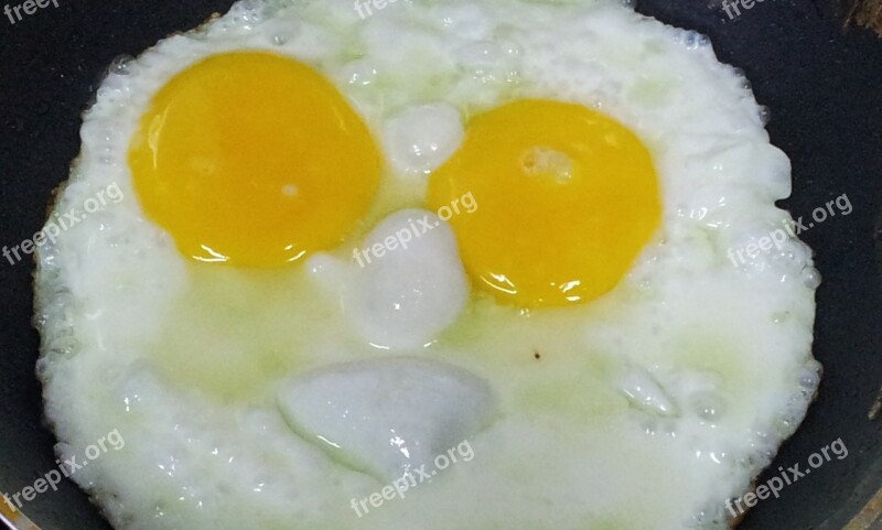 Eggs Life Cooking Free Photos