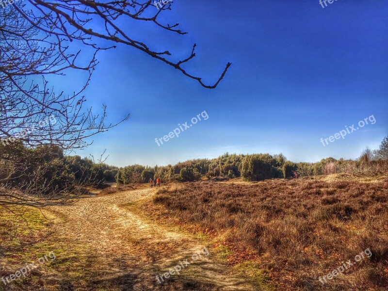 Drenthe Mantingerveld Heide Free Photos