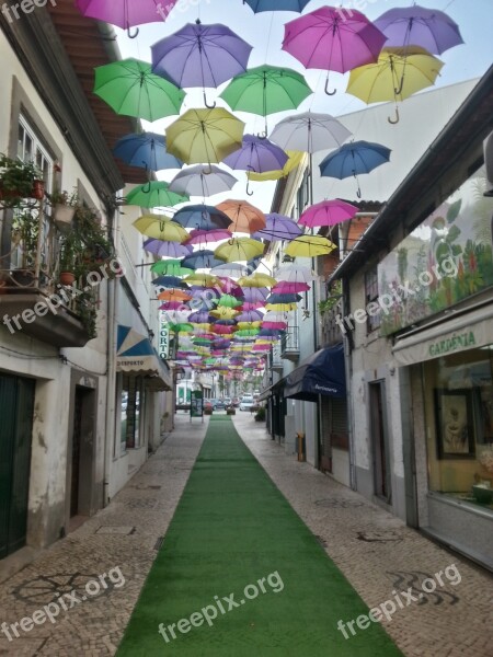 Rain Hat Agueda Agitagueda Free Photos