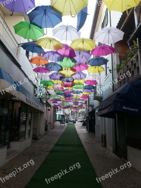 Umbrella Agueda Agitagueda Free Photos