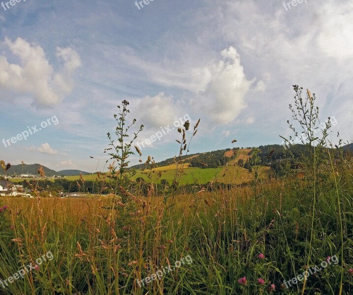 View Ettelsberg Sauerland Hochsauerland Field