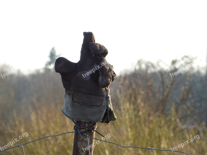 Glove Post Nature Agriculture Free Photos