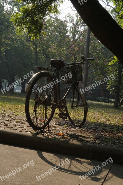 Small Fresh Campus Bicycle Free Photos