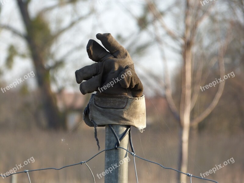 Glove Post Nature Agriculture Free Photos