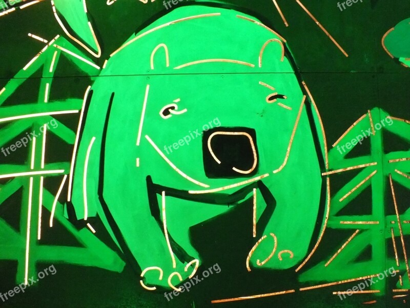 Graffiti Neon The Bear Czech Republic Free Photos