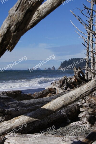 Beach Ocean Pacific Water Vacation