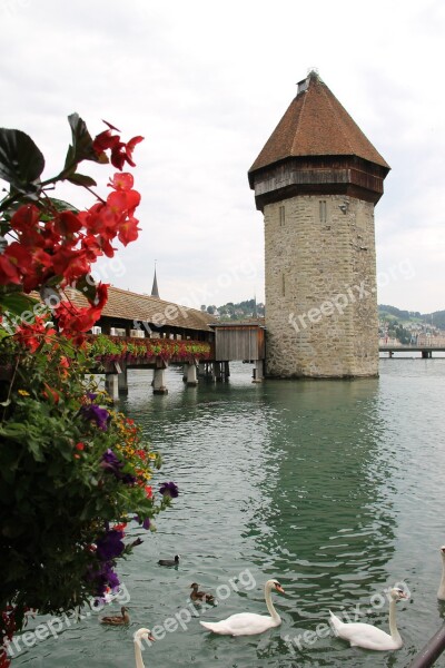 Lucerne Switzerland Bridge Swan Tower