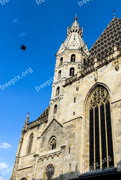 Wien Building Vienna Stephansdom Free Photos