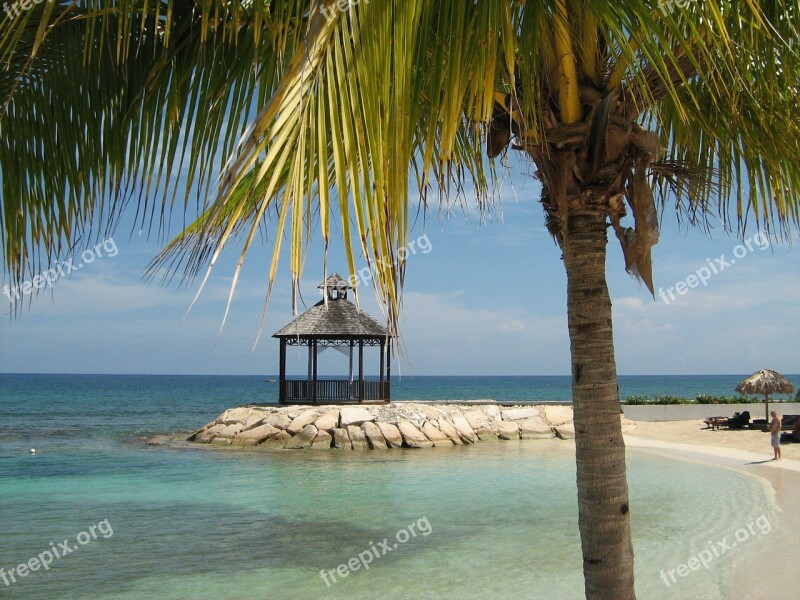 Ocean Palm Tree Tropical Palm Travel