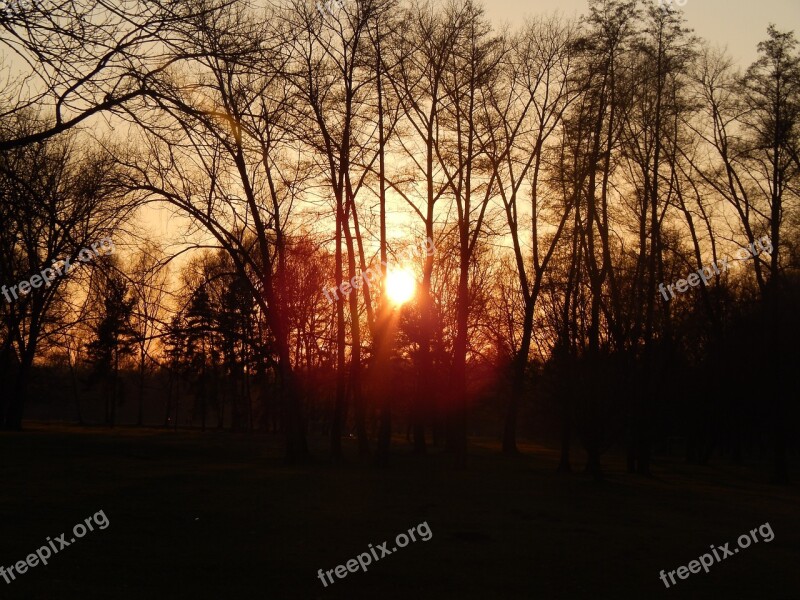 West Stromovka Spring Sun Free Photos