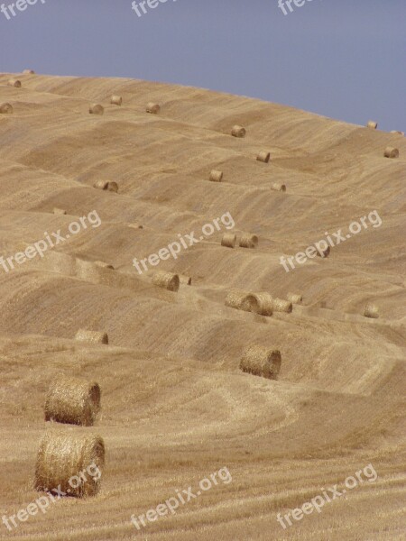 Hay Bales Hay Tuscany Summer Free Photos