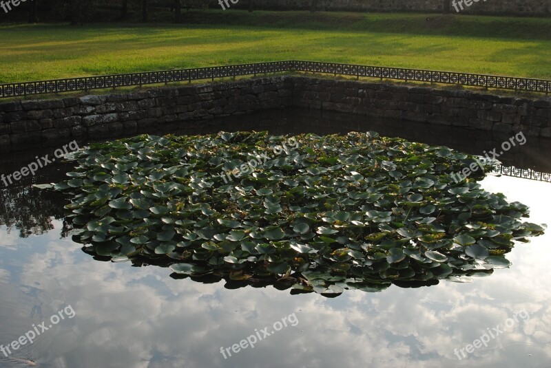 Grant Pond Autumn Free Photos