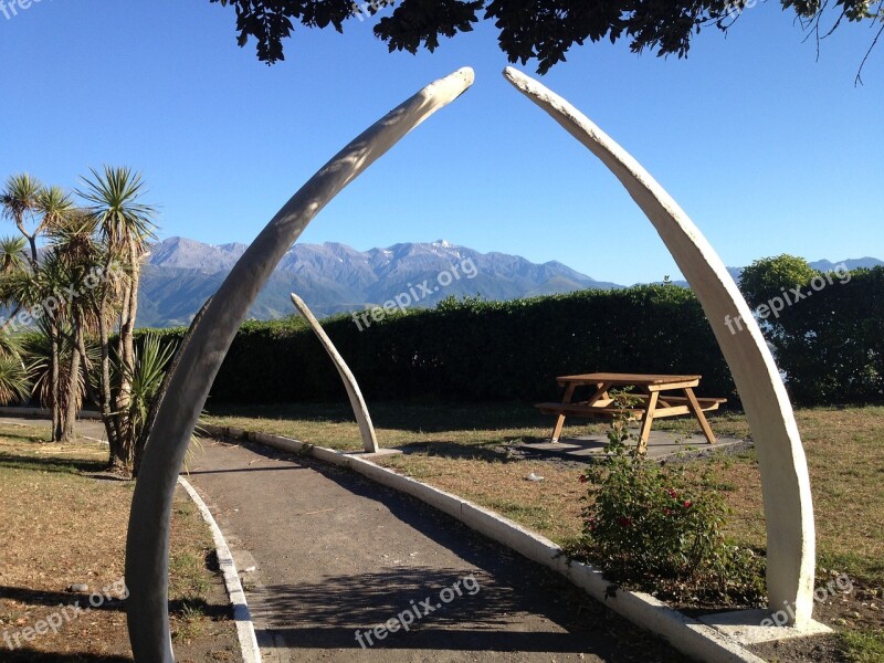 New Zealand Whale Bones Mountains Blue Summer