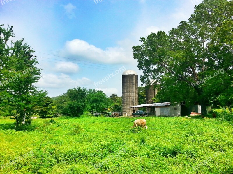 Farm Granja Puerto Rico Free Photos