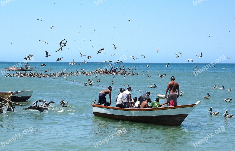 I Boat Boat Fishing Daisy Bay