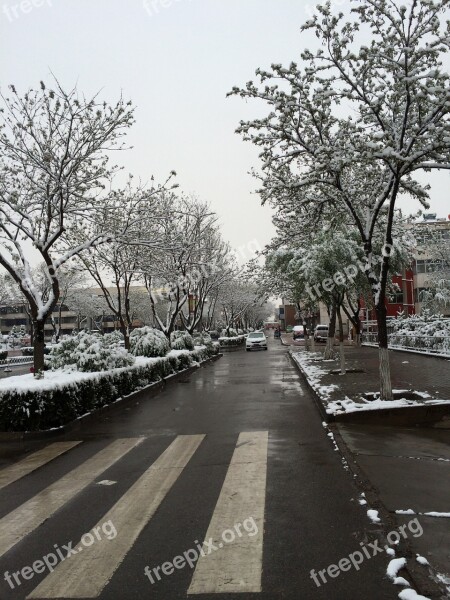 May Snow Ningxia Hui Autonomous Region Free Photos