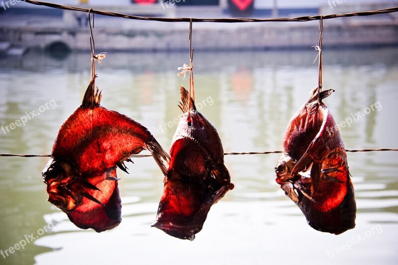 Dried Fish Rope The New Year Red Free Photos