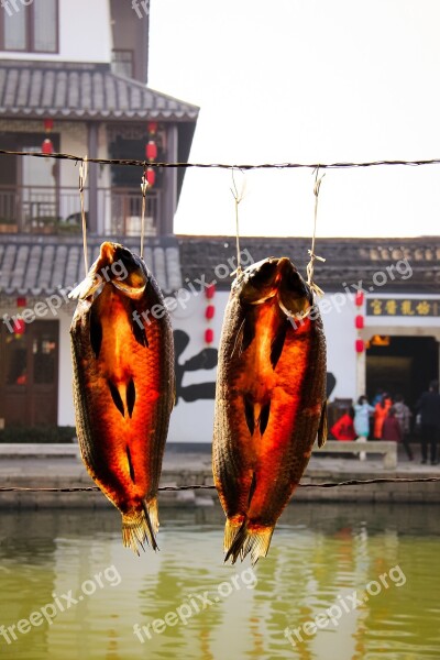 Dried Fish Anchang The Ancient Town Rope Free Photos