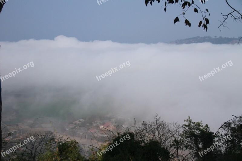 Tree Frost Mountains And Hills Free Photos