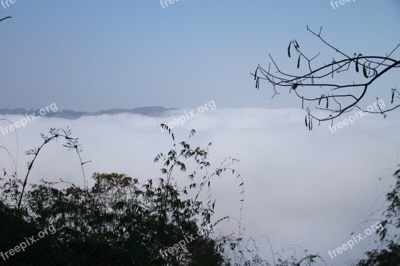 Tree Frost Mountains And Hills Free Photos