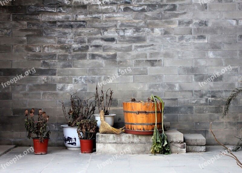 Wall Plant Quaint Gray Corner