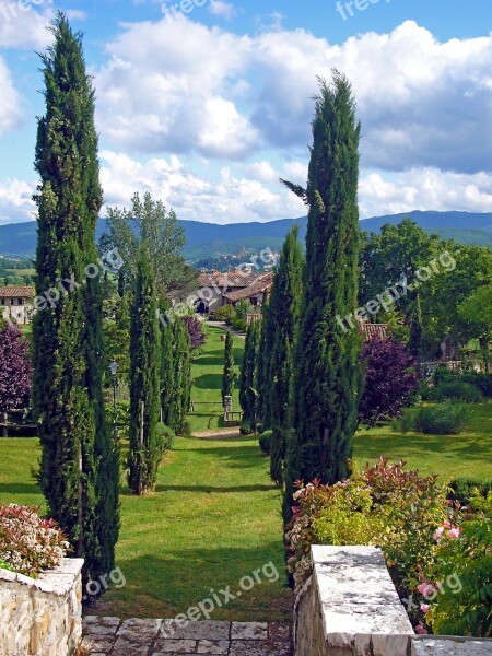 Italy Tuscany Avenue Cypress Free Photos