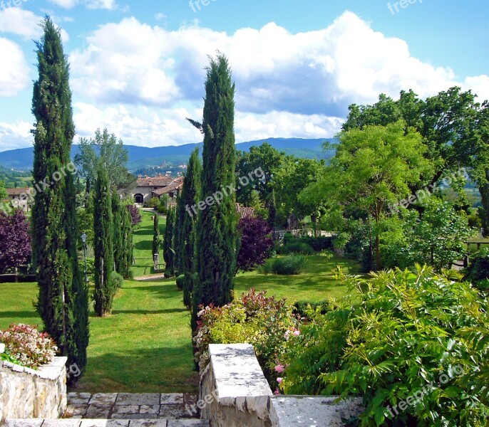 Italy Tuscany Cypress Avenue Free Photos