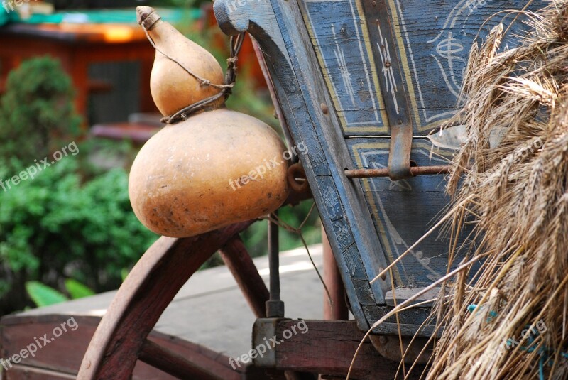 Cart Gourd Village Memory Summer