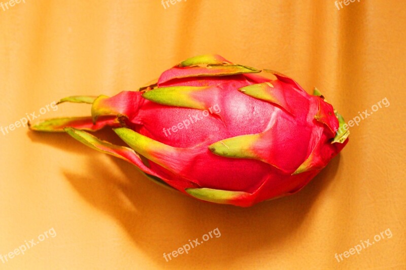 Dragon Fruit Fruit Taiwan Asia Agriculture