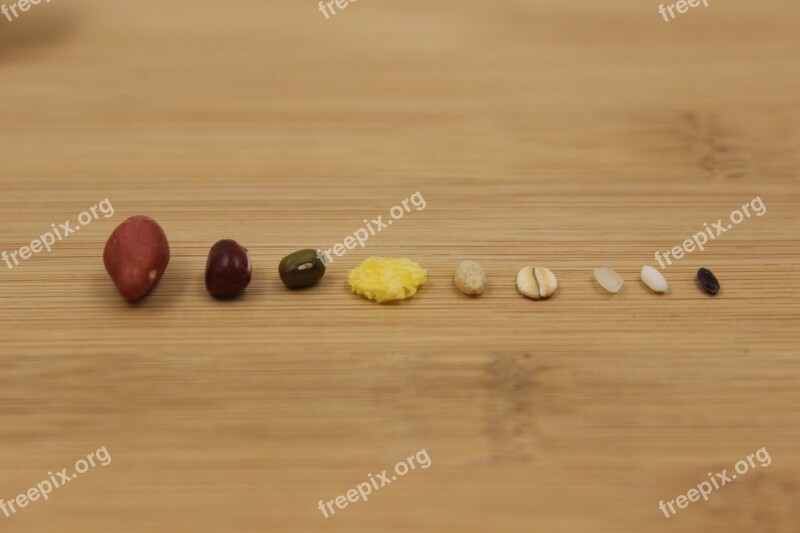 Grain Rice Beans Free Photos